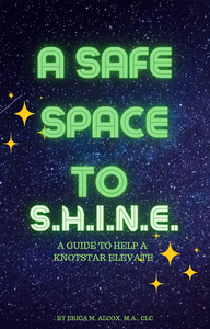 Safe Space to Shine eBook
